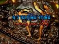 mae mai muay thai