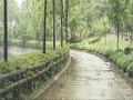 Drugi Nacin - Lile su kise