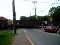 CSX Freight Train through Gaithersburg 1