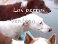 Ver vídeo