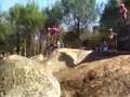 Tishomingo National 2006, observed trials