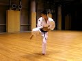 Shinshinkan Isshin Ryu Karate - Sunsu no Kata - Japan Image 1