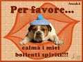 leo ferrucci aggio bisogno e te