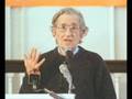 Chomsky refutes libertarian anarcho- capitalism