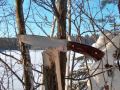 Skog , Bushcraft knife.wmv