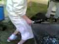 videos de das würstchen ist aber klein.3gp