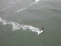 videos de Rams Kite Cam