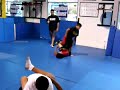 tiburonkids grappling  mma 8 to 12 year old 