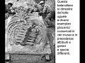 Balenottera di Valmontasca (Vigliano d\ Balenottera di Valmontasca (Vigliano d\