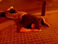 36° @ Lloret: Dome danced