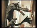 Russian Little Red Riding Hood - Wolf Vore (part 1)