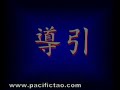Mantak Chia DVD Tao Yin Yoga Clip 1