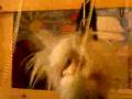 Schwabacher Puppenkiste Weltreise