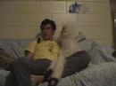 DROOMPA: Dexter & Memornineye: I Scream Love