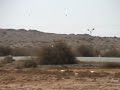 F16 RC Jet dead stick landing