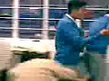 pelea esfir teto y chuviduvi pelea esfir teto y chuviduvi