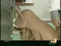 MadTV-Kenny Rogers  Ice   Cream   Parlor