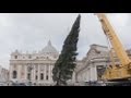 The Vatican's Christmas tree - no comment