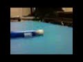 Video-0008.mpeg