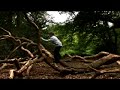 The Open Window - Trailer