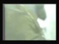 videos de Bob Marley ans The Wailers - Early Criteria - Partie 4