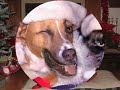Jingle Bell Scratch ( Masta Hanksta)