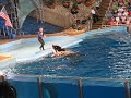 sea world
