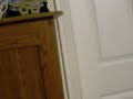 100_0021.mov