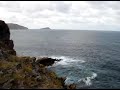 Delfines en la ría de Viveiro