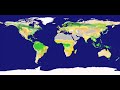 The Davos Question - Hemp and Cannabis