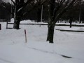 plowing snow