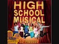 DJ Phredee - HSM Megamix