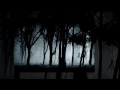 Click here to watch this video Bigfoot Paranormal