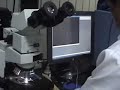 Baseline tests 1 - EPS microscopy 30/6/08