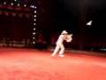 Circo Rolex