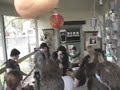 BEAT BEAT BEAT @ SXSW 2008