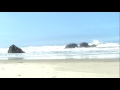 Relax While Sitting on Seal Rock Beach Oregon with Blue Sky