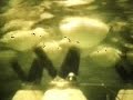 wave Energy - Ocean Energy - Renewable energy