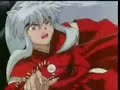Suki desu -itsumo
