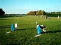 Flyball