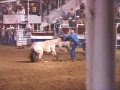 Rodeo Abuse Rodeo Abuse