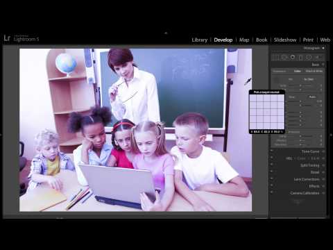 how to adjust wb in lightroom