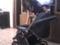 choque a un fantasma 2