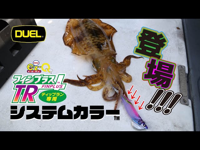 イージーQ® フィンプラス™ TR - 釣具の総合メーカー デュエル イージーQ® フィンプラス™ TR - 釣具の総合メーカー デュエル