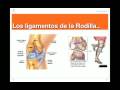 videos de LESIONES POR LA PRACTICA DE ESQUI