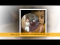 download nhac xuan 2012 2013 nhac xuan 2012 2013 flv Xuan 2013.FLV - YouTube