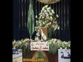 ذنوب الجفا : سعد آل سعود