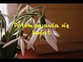 BARDZO KR�TKI FILM O MI?O?CI
