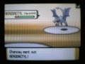 Pokemon Wi-Fi Battle 31 v Chancey