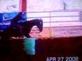 barrel jumper